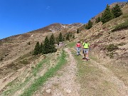 Ai Piani dell’Avaro ben fioriti di crocus – 2 maggio 2025 - FOTOGALLERY